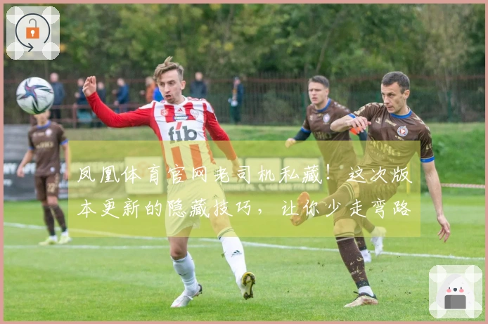凤凰体育官网老司机私藏！这次版本更新的隐藏技巧，让你少走弯路，直接起飞！